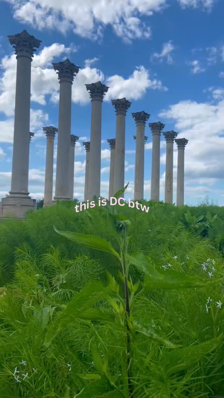 Washington D.C.'s Natural Beauty and Landmarks