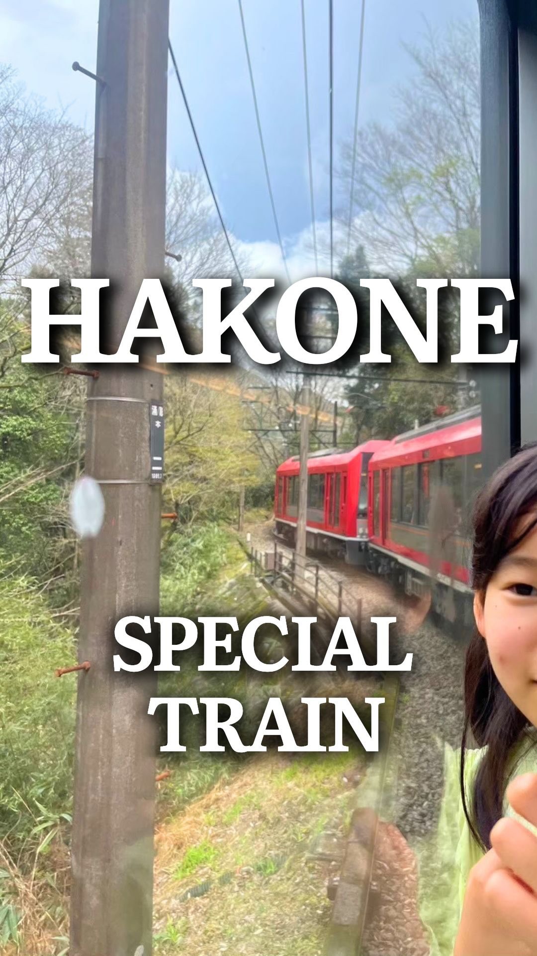 Hakone Family Trip On Scenic Mountain Railway