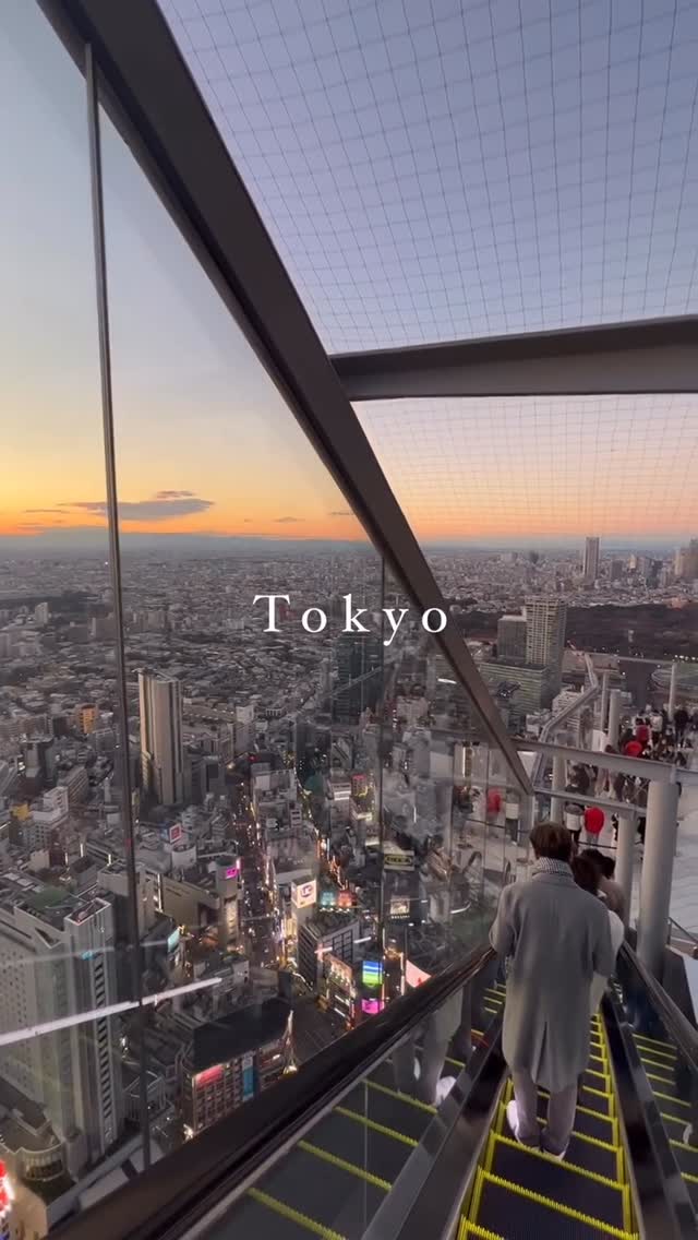 Shibuya Attractions: Crossing and Sky Views