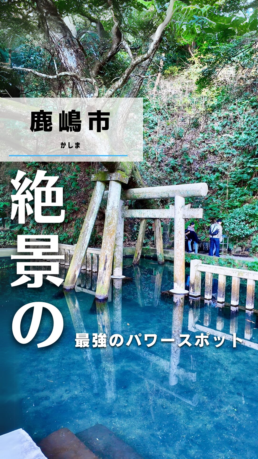 Kashima Jingu Shrine: Scenic Pond and Ancient History