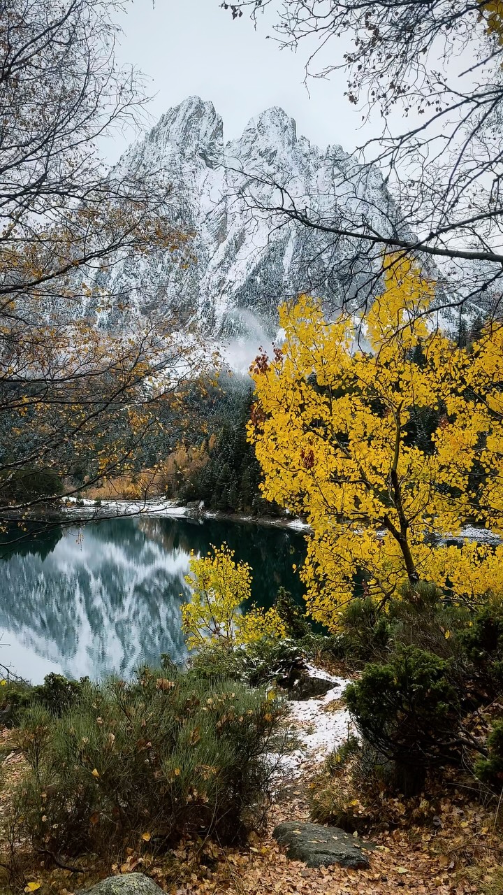 Autumn Beauty in Aigüestortes National Park