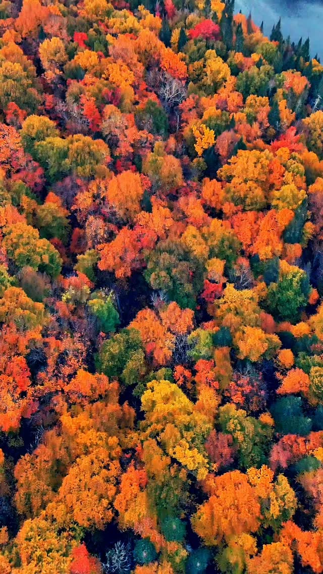 Michigan's Top 10 Fall Destinations