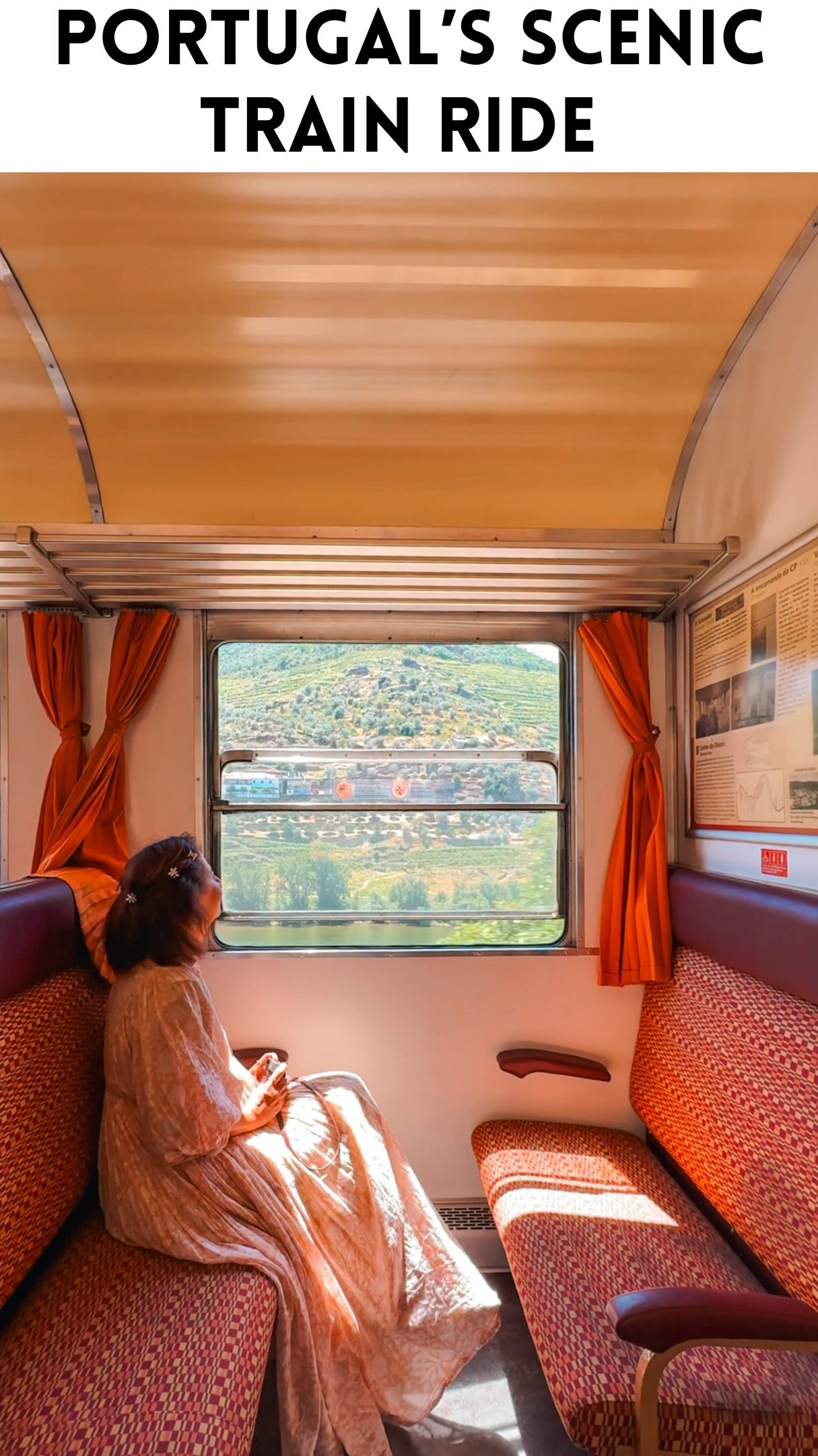 Douro Valley Train Ride and Port Wine Region