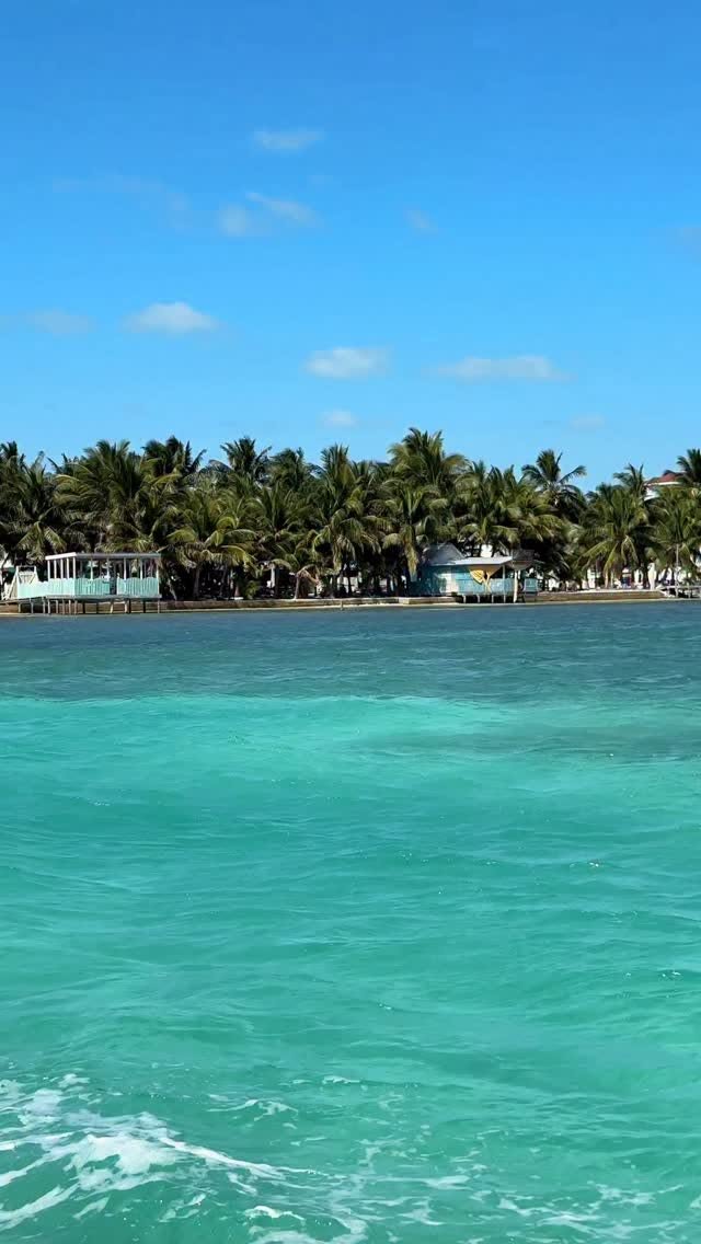 Belize Adventures: Caye Caulker, Barrier Reef, and Blue Hole