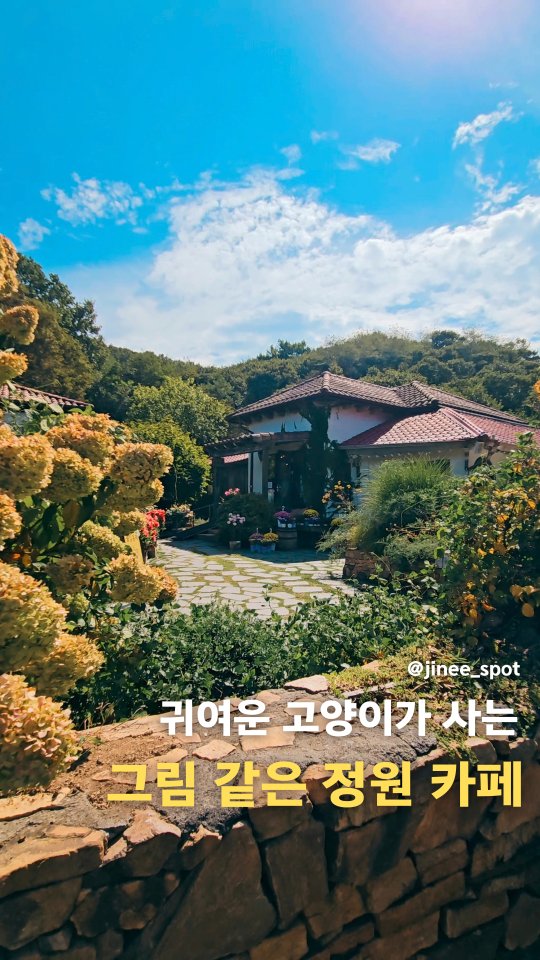Cafe Daruzi: European Garden Oasis in Incheon
