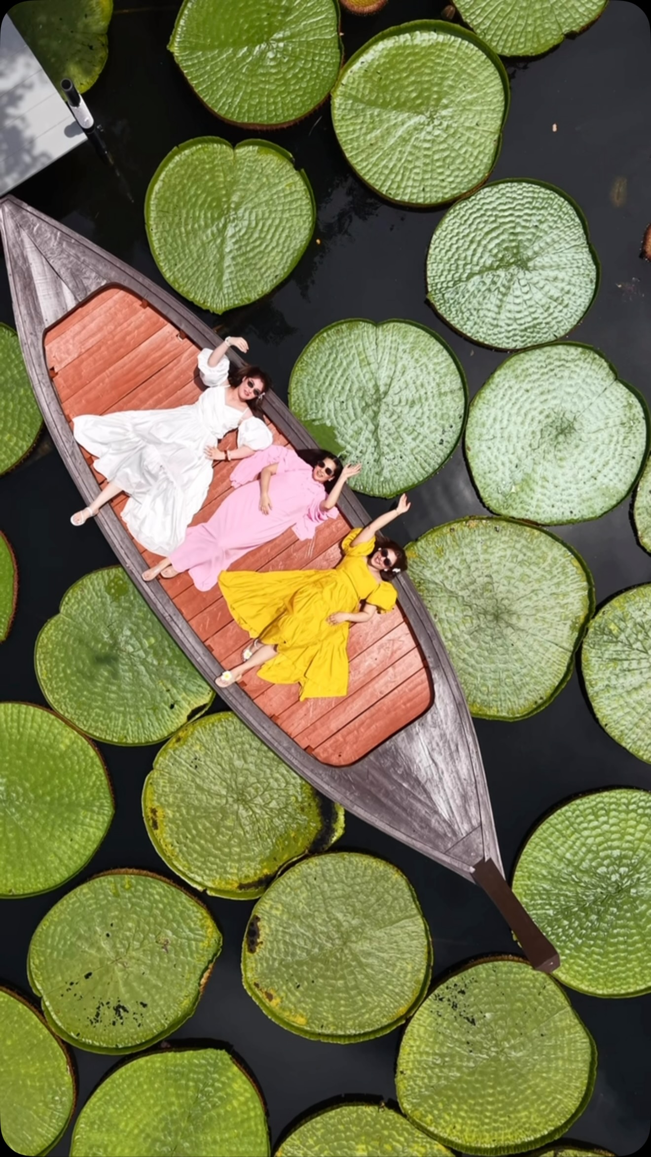 Viral Lily Pad Photoshoot At Ma Doo Bua Cafe