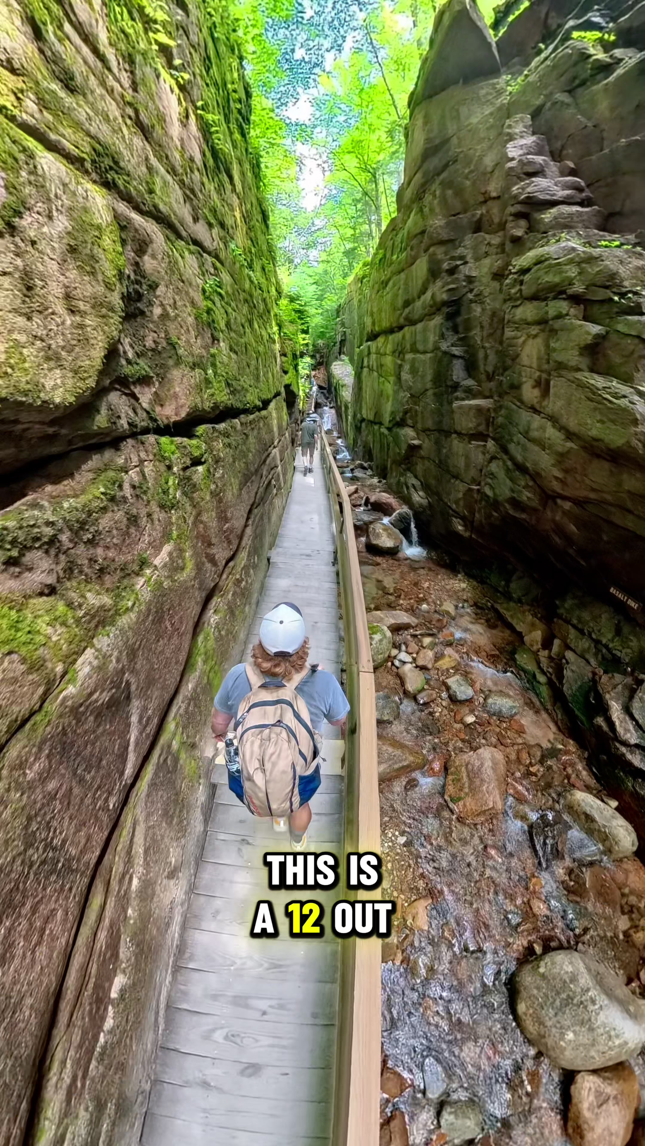 Natural Wonders and Covered Bridges of Flume Gorge
