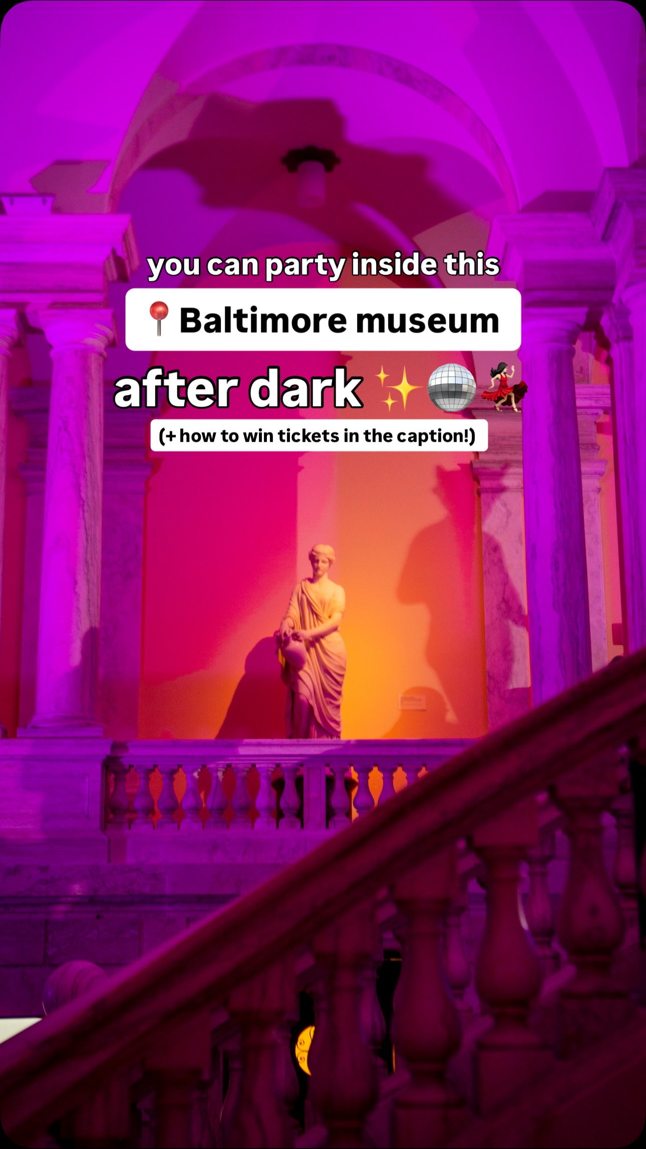 Walters Art Museum Gala Showcases Evening Event