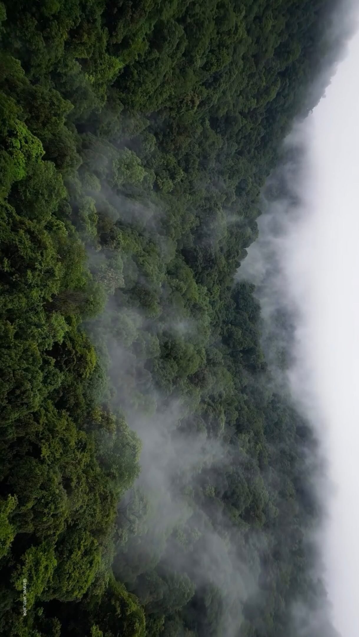 Oaxaca's Natural Wonders: Waterfalls, Beaches, and Forests