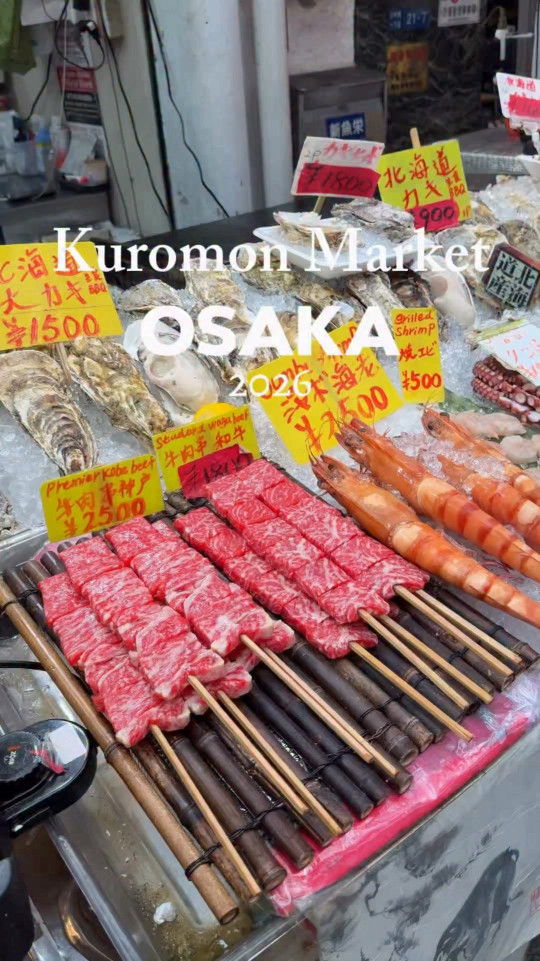 Osaka's Kuromon Ichiba Food Market Delights