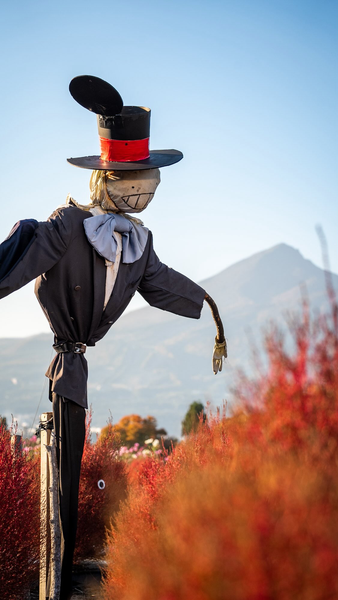 Fukushima Prefecture's Autumn Foliage Beauty