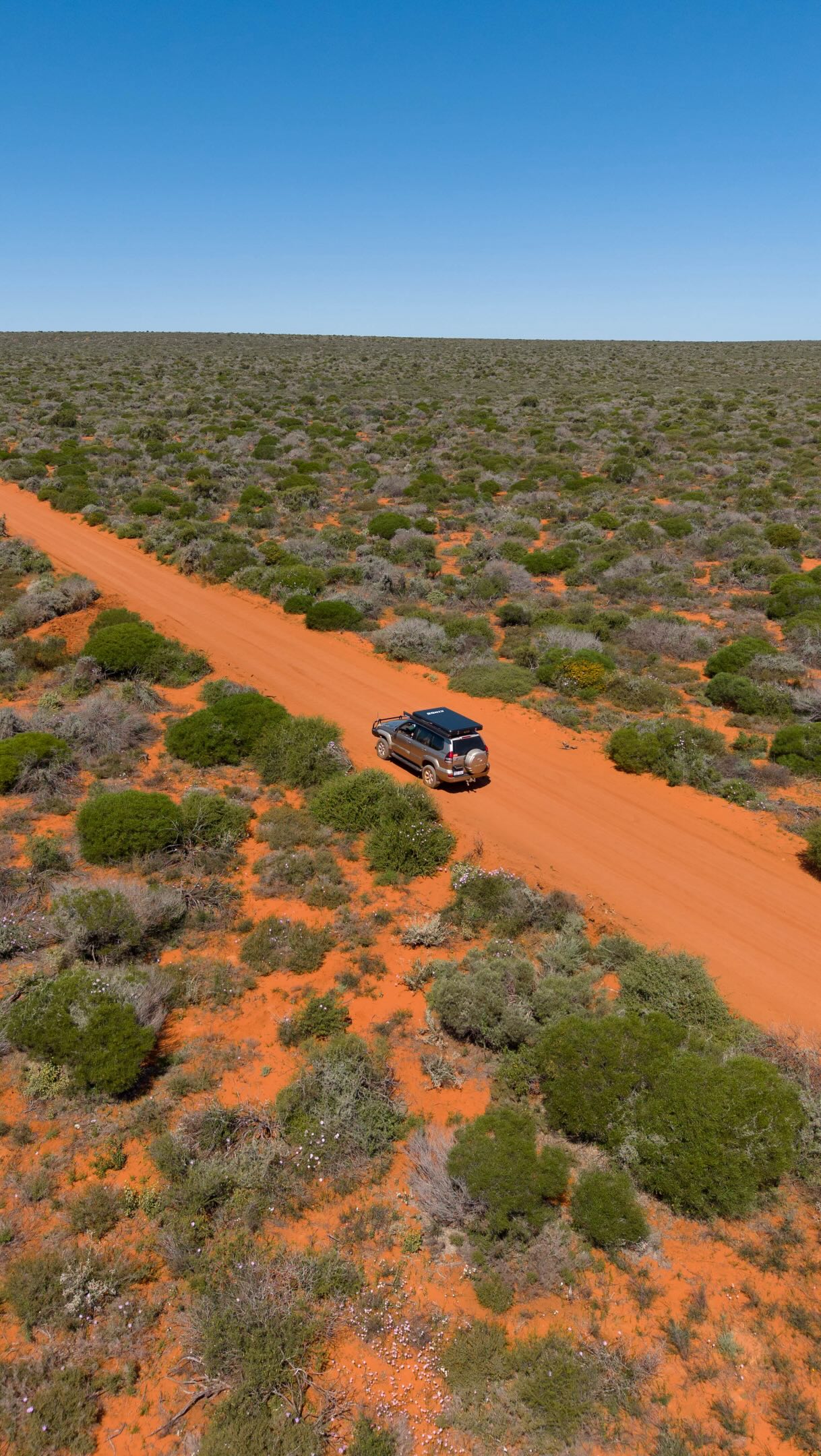 Shark Bay And Francois Peron National Park Natural Wonders