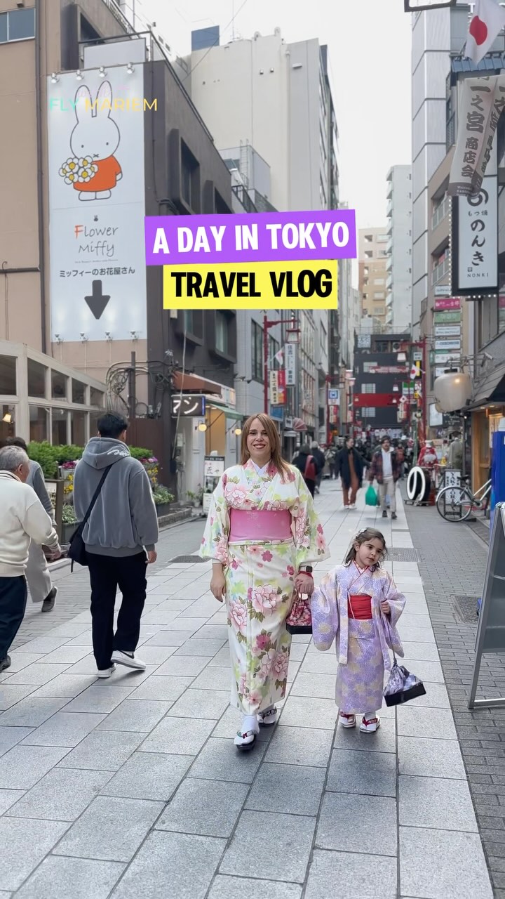 Tokyo Day Trip: Temple, Robots, and Akihabara Exploration