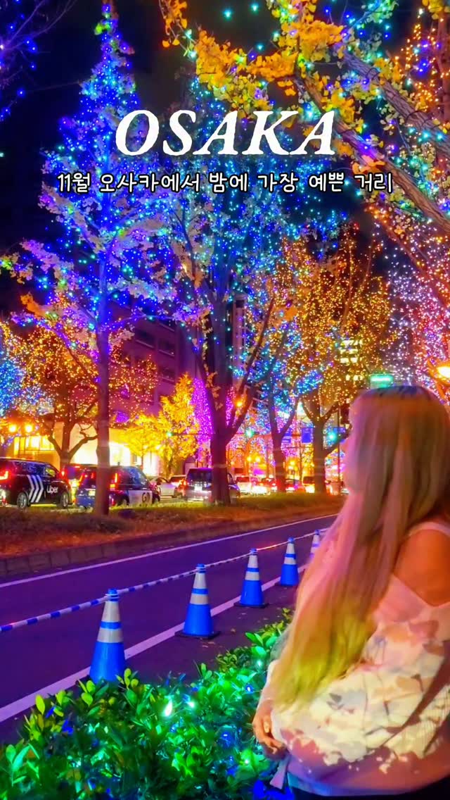 Osaka's Midosuji Illumination Street Lights