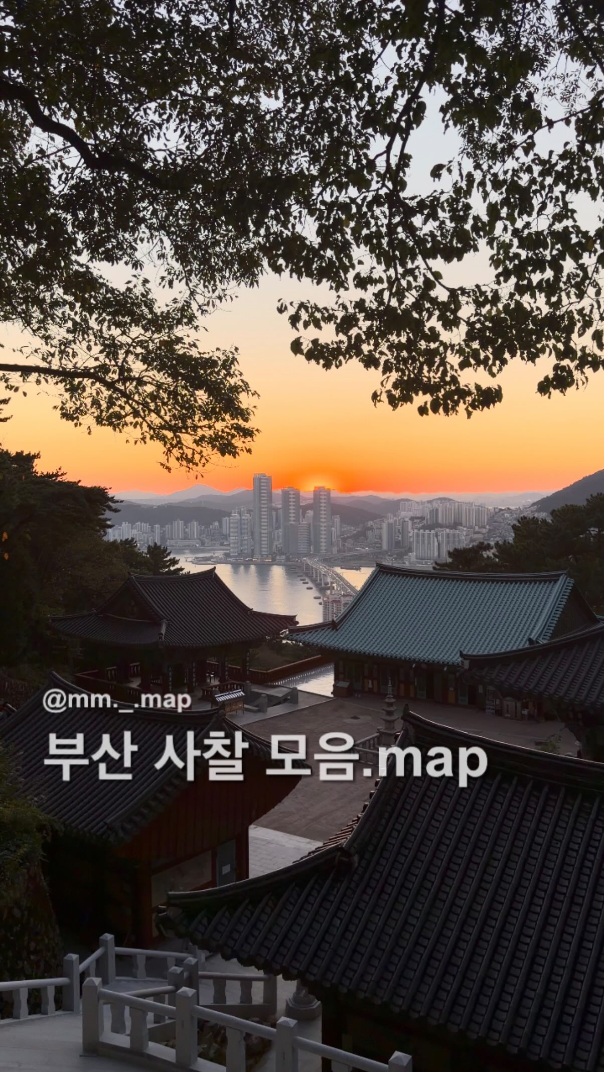 Seven Beautiful Busan Temples Showcase Unique Scenery