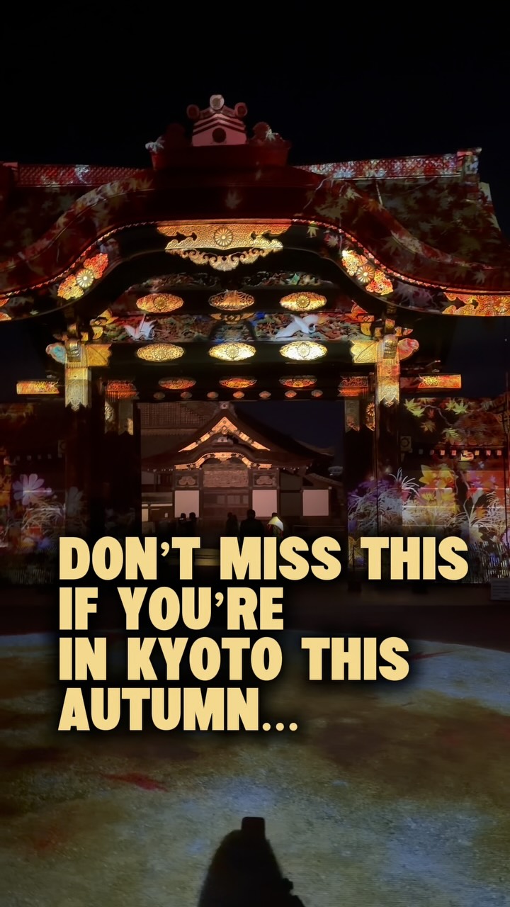 Nijo Castle's Digital Art and Light Show