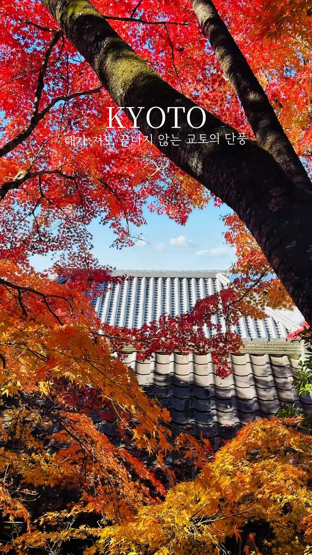 Kyoto's Best Autumn Foliage Spots
