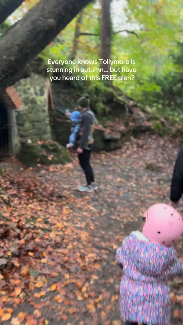 Northern Ireland Autumn Forest Walks