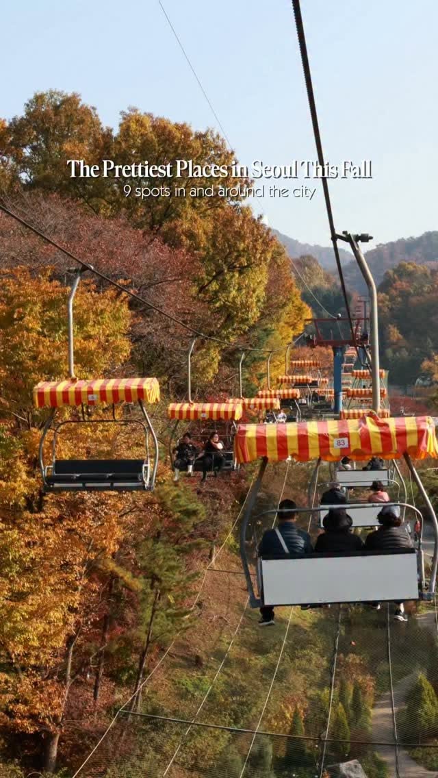 Nine Scenic Seoul Spots For Autumn Leaf Viewing