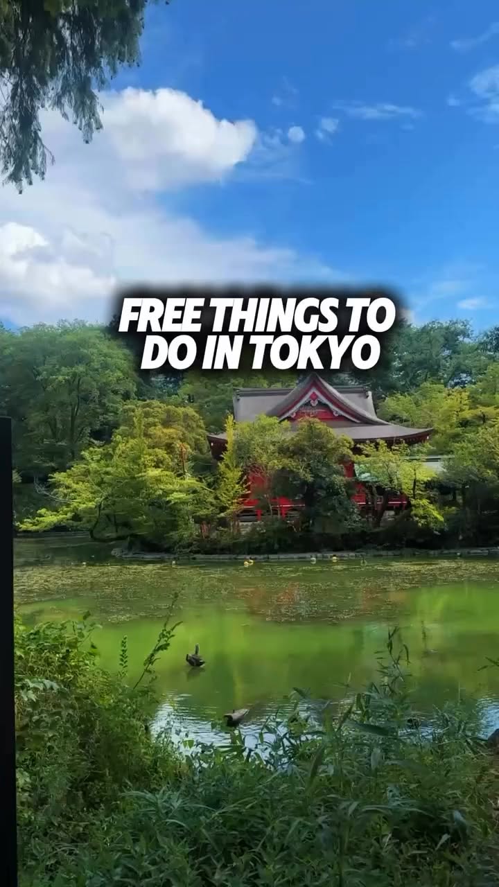 Discover Free Tokyo Attractions and Experiences