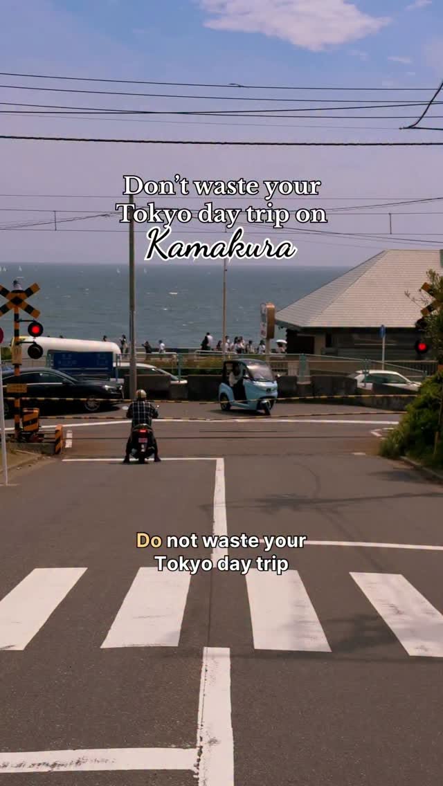 Kamakura's Temples, Beaches, and Coastal Views