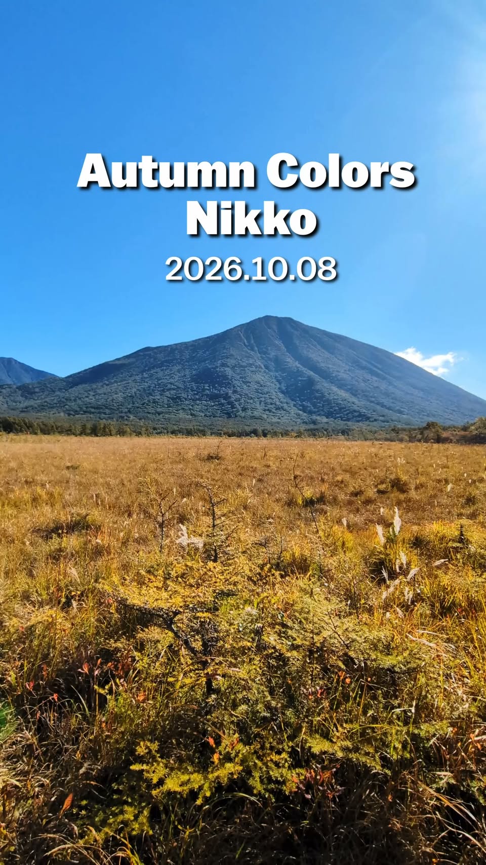 Nikko's Autumn Colors Display Diverse Stages
