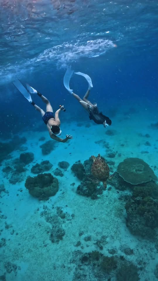 Panglao: Freediving Paradise With Five Spots
