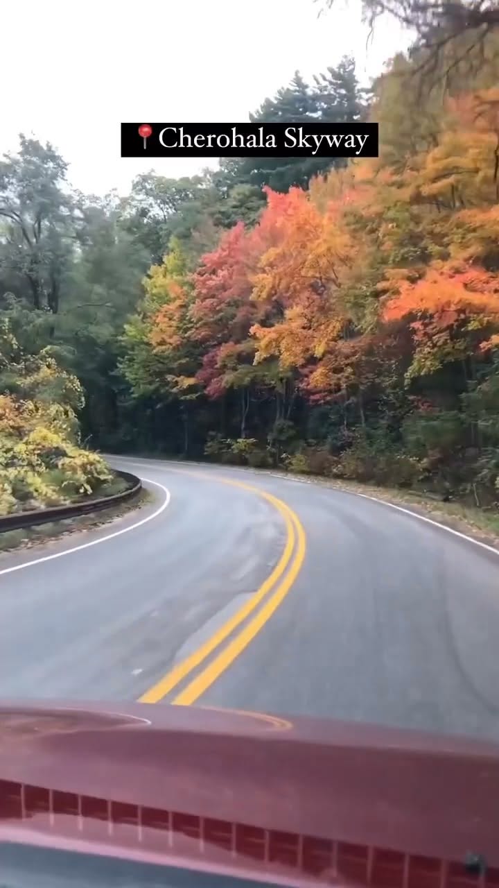 Southeast Tennessee Fall Foliage Destinations