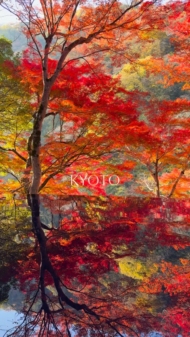 Kyoto's Autumn Splendor Captured in Video