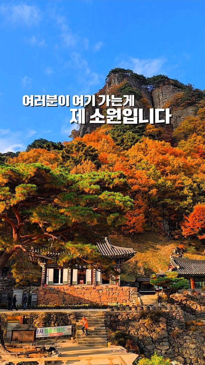 Autumn Foliage At Korean Temple & Mountains