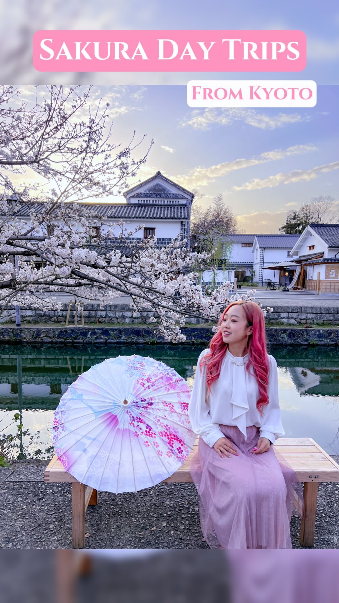 Kyoto Day Trips: Castles, Gardens, and Canals