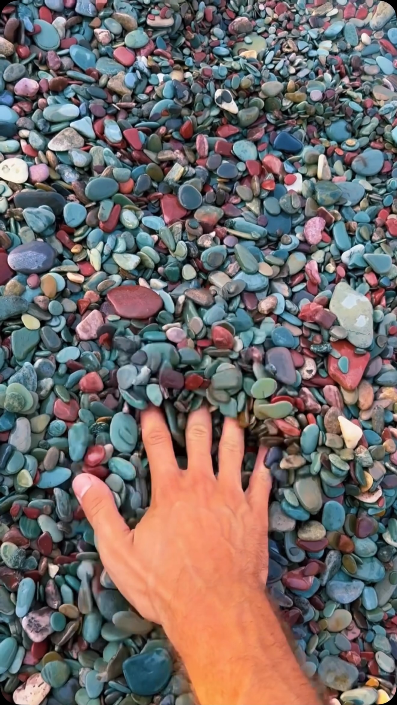 Glacier National Park's Clear Lake With Colorful Pebbles