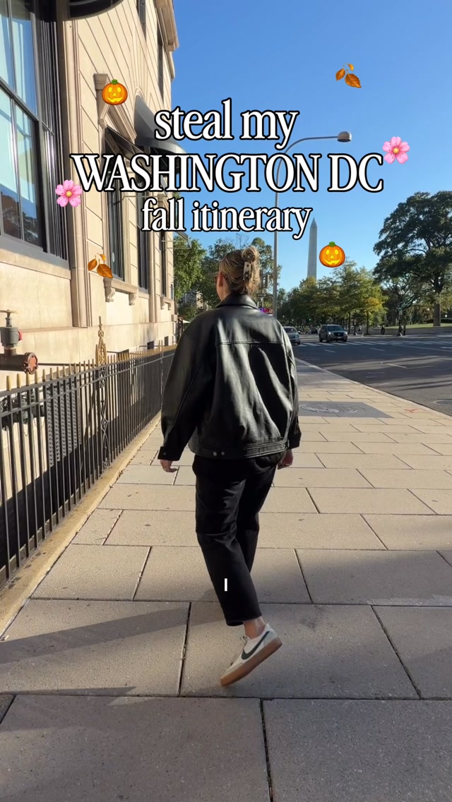 Washington D.C. Fall Itinerary: Markets, Eats, and More