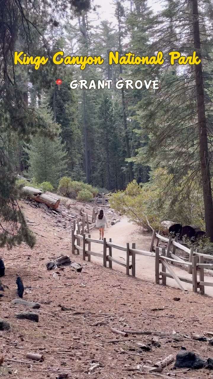 Sequoia and Kings Canyon National Parks' Natural Wonders