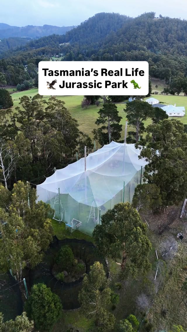 Tasmania's Raptor Refuge and Bruny Island