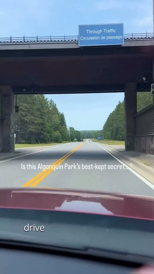 Algonquin Park Dining Experience