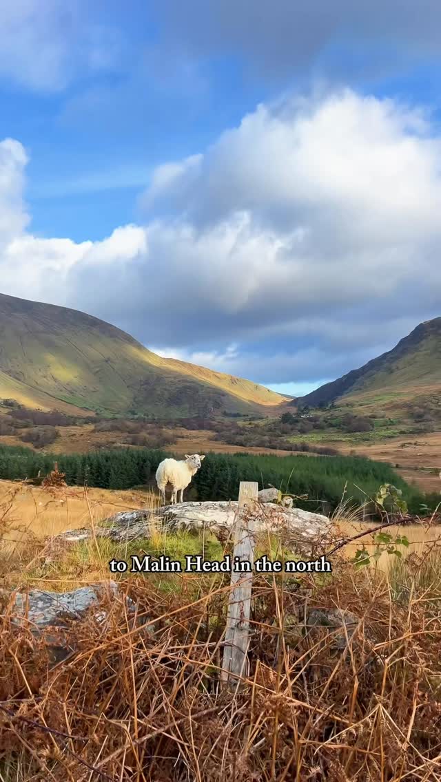 Wild Atlantic Way's Stunning Irish Coastal Wonders