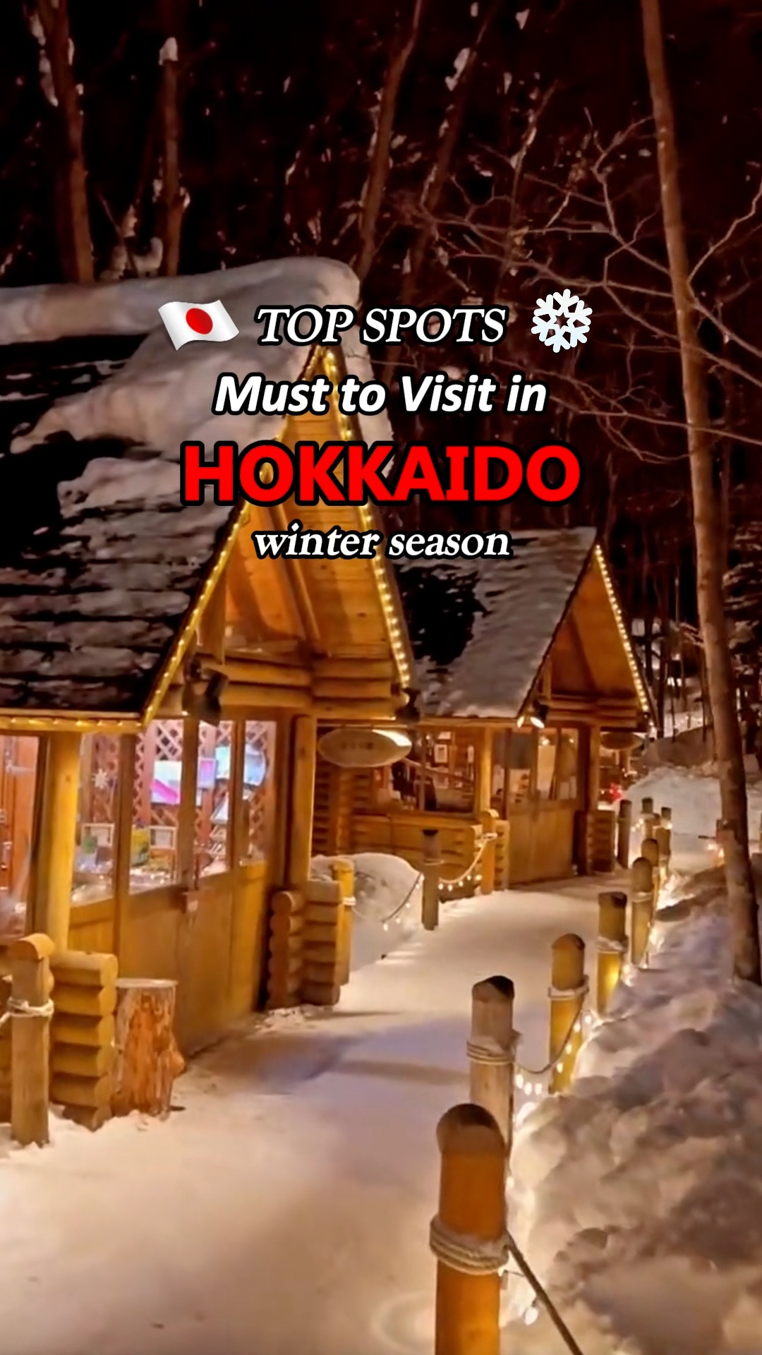 Hokkaido Winter Wonders And Hot Springs
