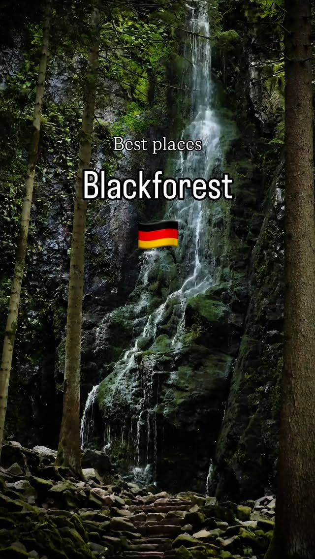 Black Forest Nature and Scenic Views