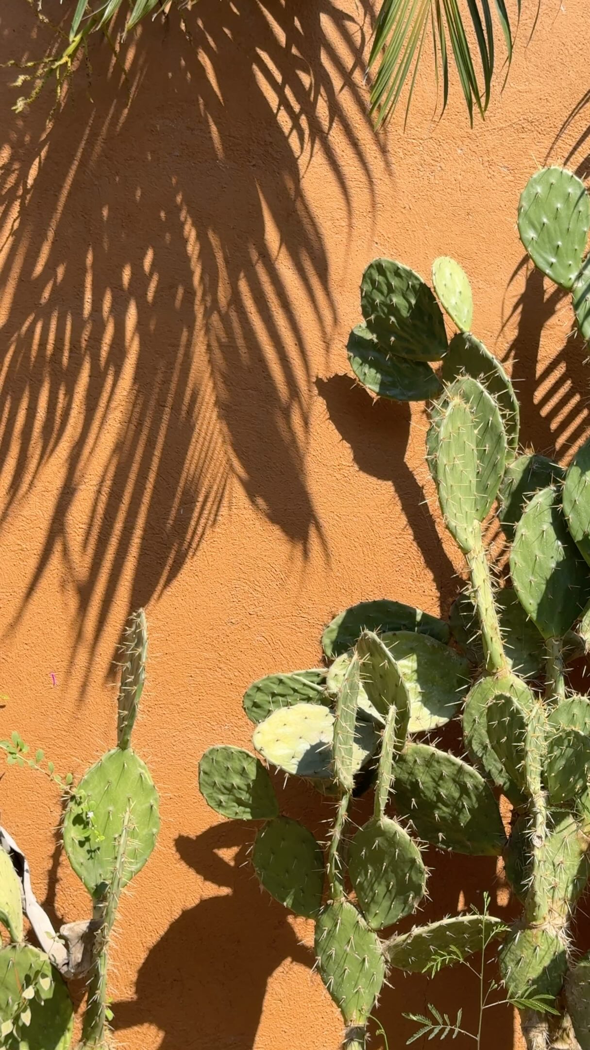 Puerto Escondido: Oaxaca's Vibrant Beach Destination