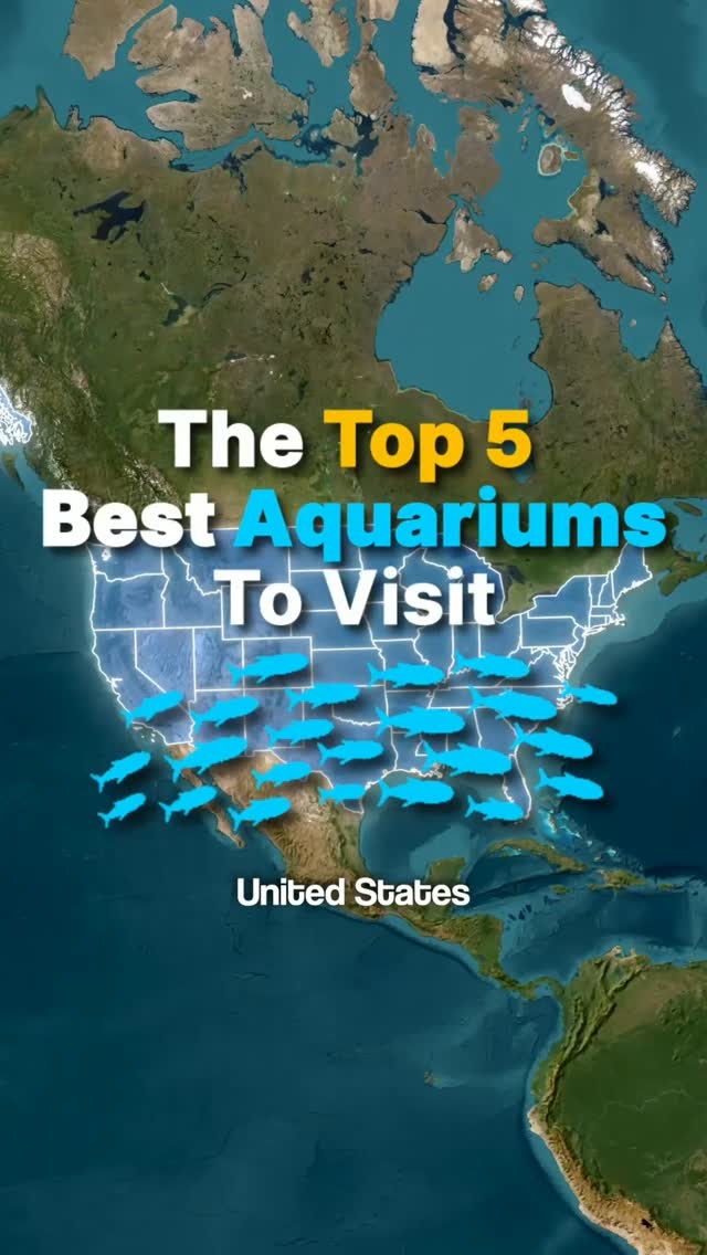 Top US Aquariums Showcase Diverse Marine Life