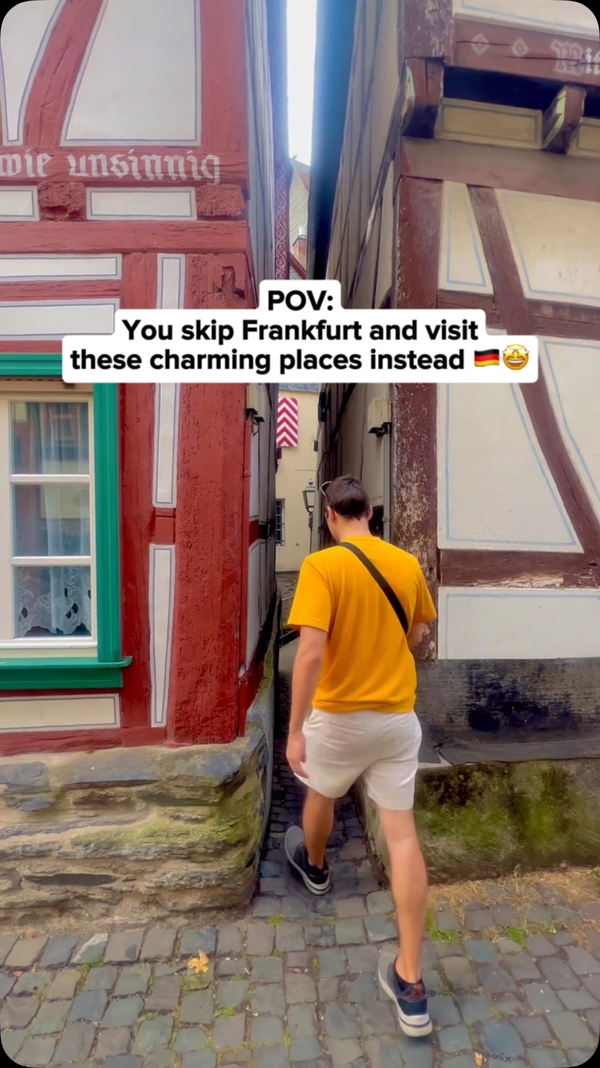 Rhine Valley Towns and Castles Near Frankfurt