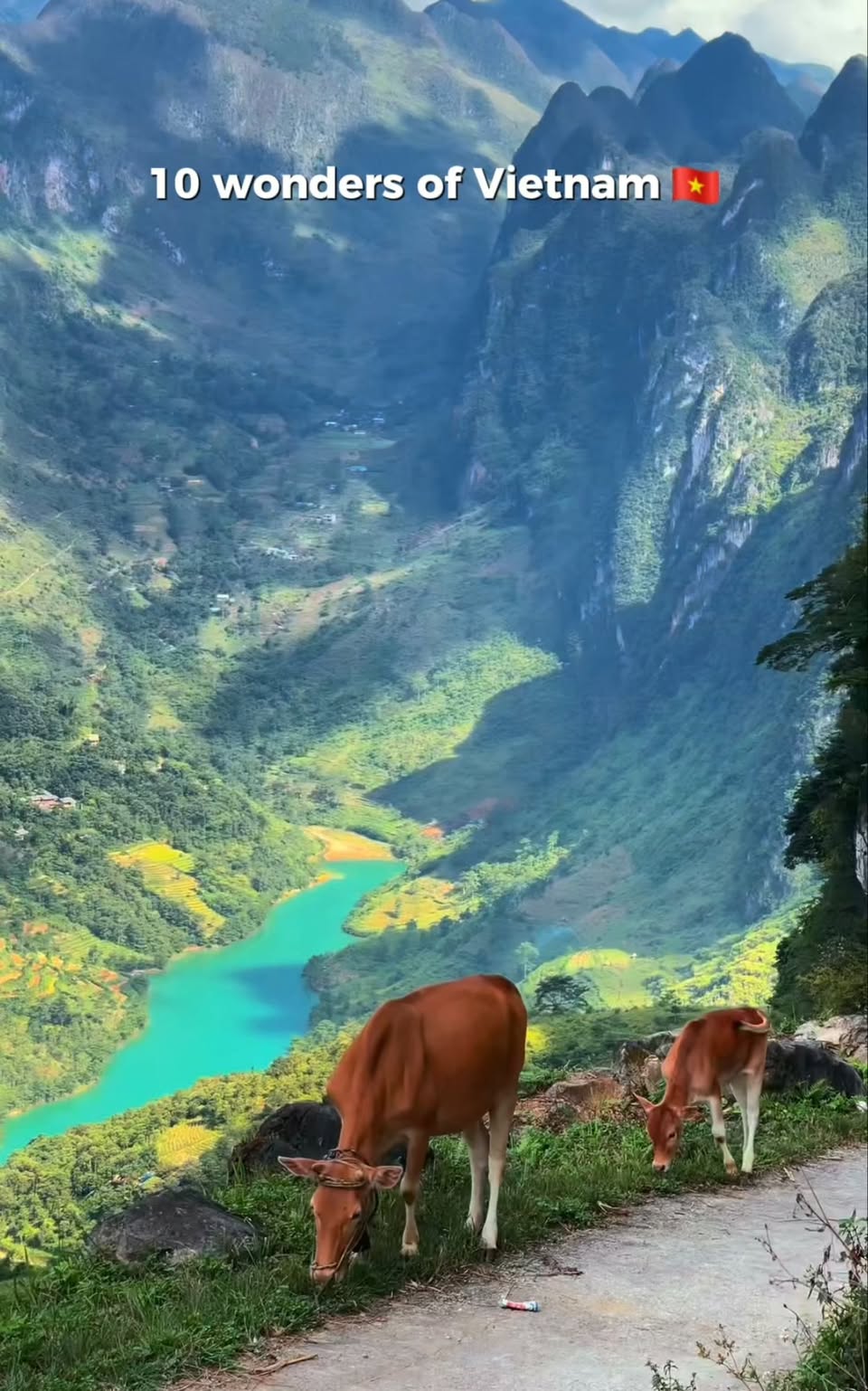 Vietnam's Natural and Cultural Wonders