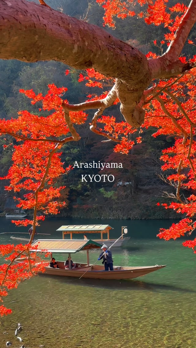 Arashiyama's Vibrant Autumn River Views