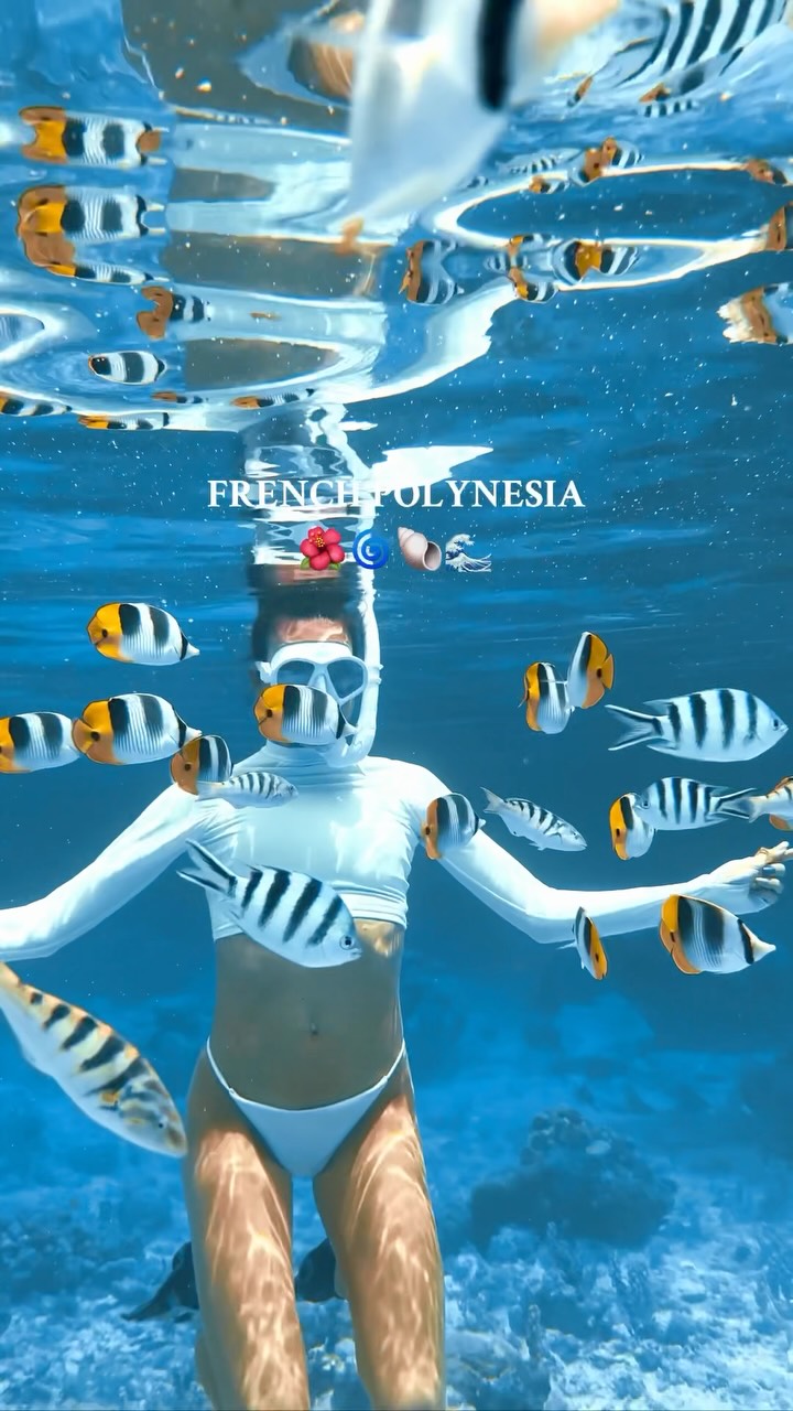 French Polynesia: Tropical Island Paradise