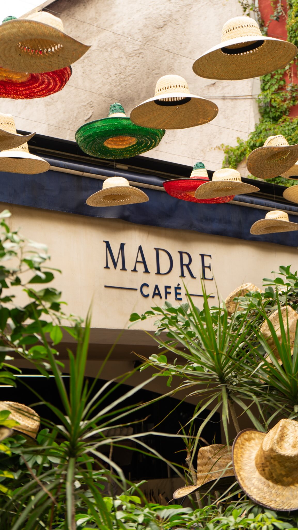 Madre Café's Festive Decorations And Delicious Food