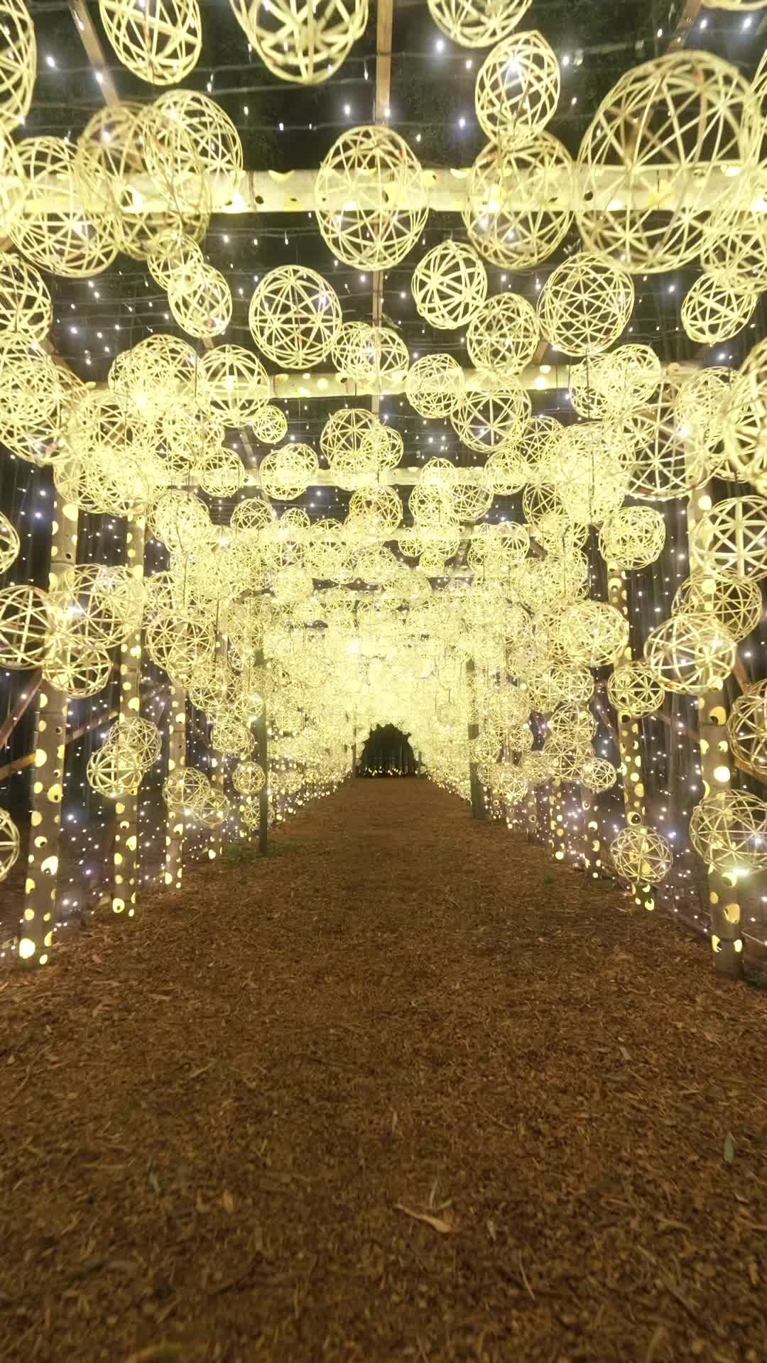 Arashiyama Bamboo Forest Illuminated Event