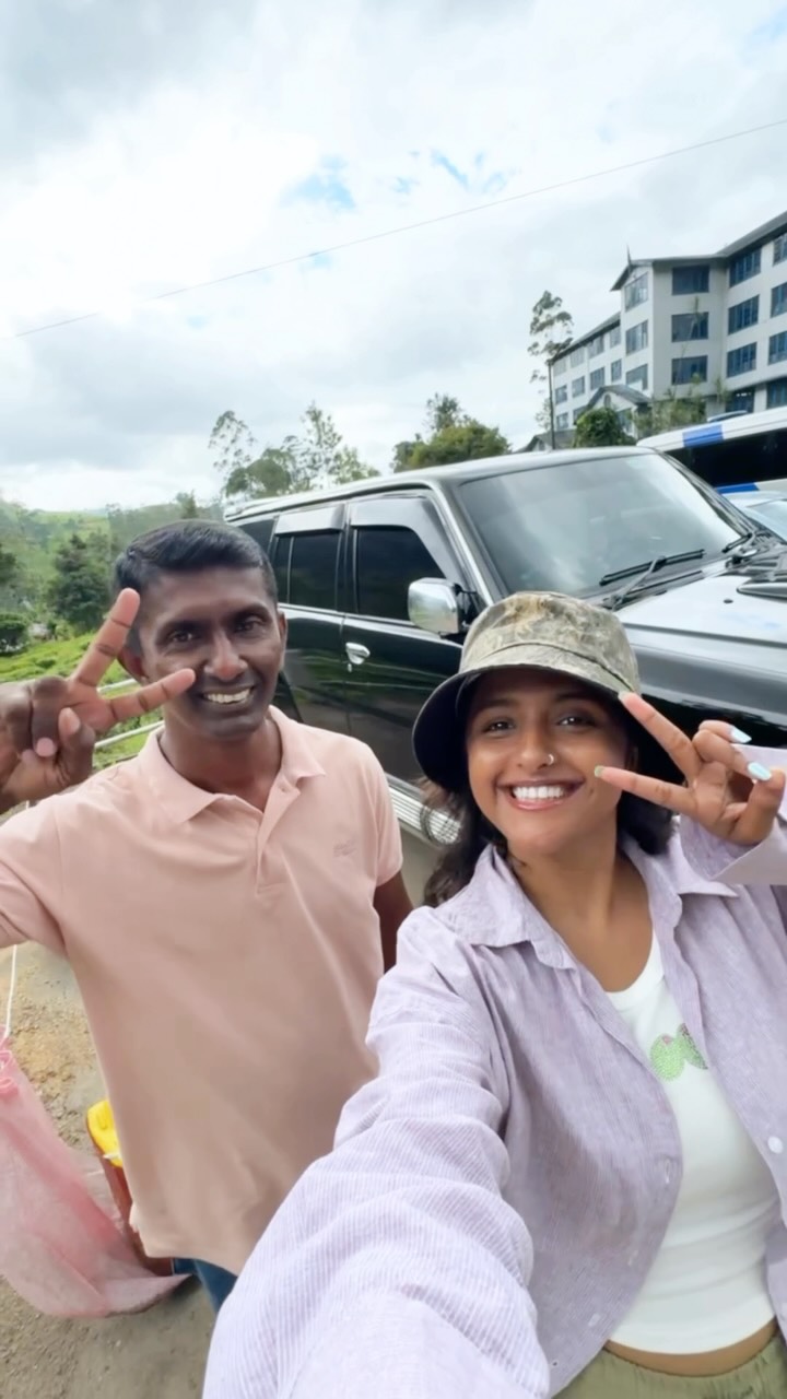 Nuwara Eliya Tea Plantations and Mountains