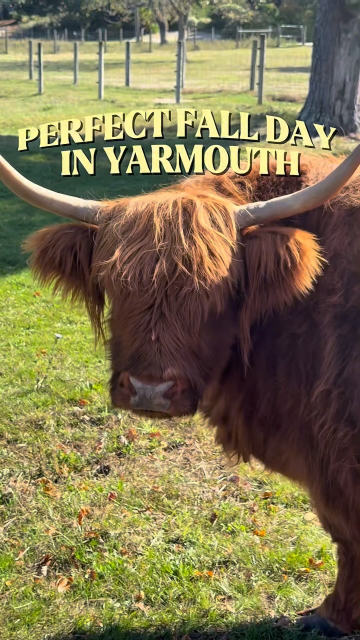Yarmouth Fall Day: Farm, Food, and Sunset Views