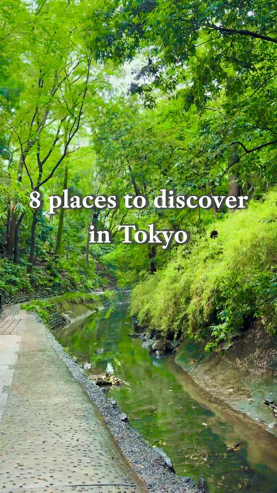 Tokyo's Diverse Destinations: From Gardens to Cat Temples